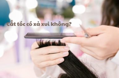 cat-toc-co-xa-xui-khong